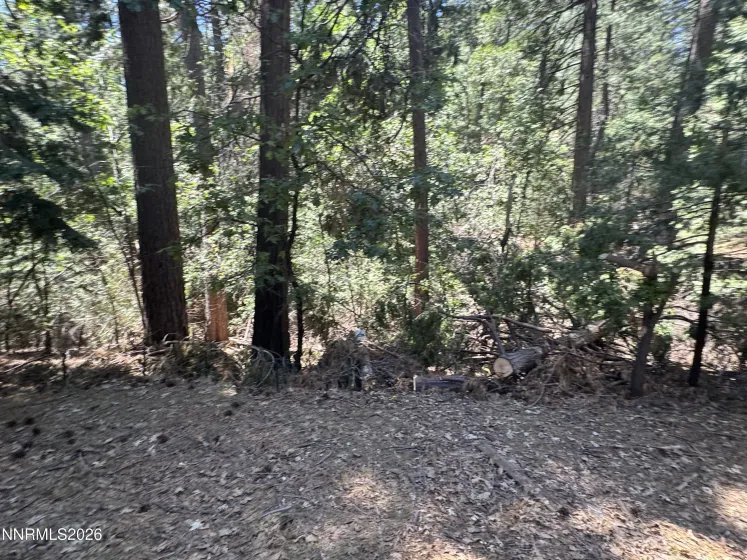 6001 Calico, Pollock Pines, California 95726, 3 Bedrooms Bedrooms, ,2 BathroomsBathrooms,Residential,Residential,Calico,0,260006521