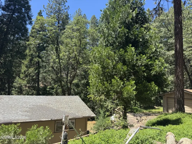 6001 Calico, Pollock Pines, California 95726, 3 Bedrooms Bedrooms, ,2 BathroomsBathrooms,Residential,Residential,Calico,0,260006521