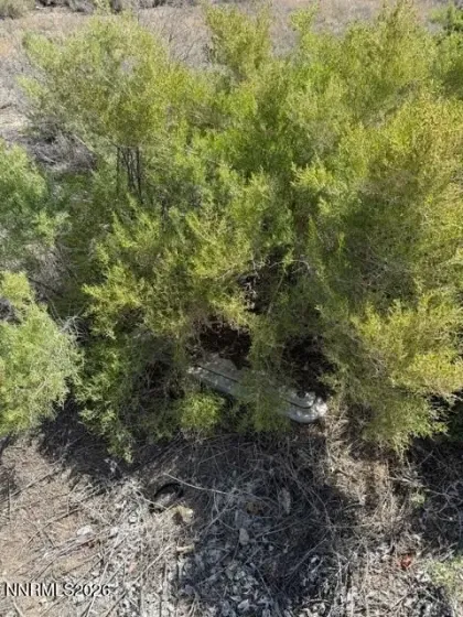 1 Pine Valley, Yerington, Nevada 89447, ,Land,Residential,Pine Valley,0,260006536