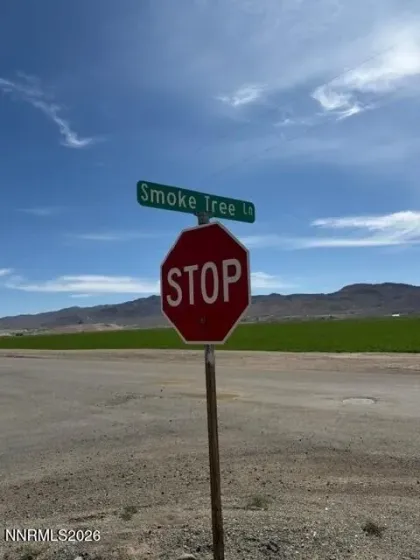 1 Pine Valley, Yerington, Nevada 89447, ,Land,Residential,Pine Valley,0,260006536