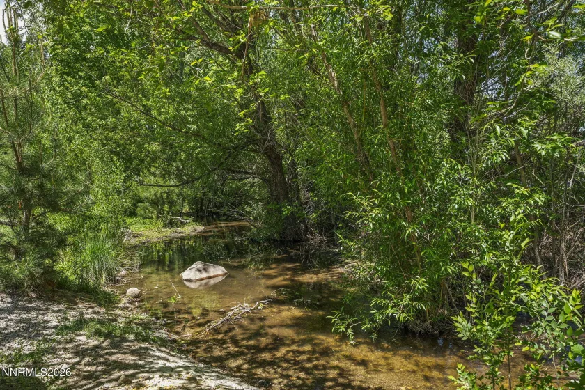 Thomas Creek