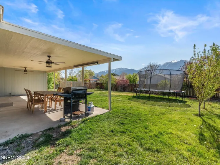 1317 Mary Jo, Gardnerville, Nevada 89460, 4 Bedrooms Bedrooms, ,2 BathroomsBathrooms,Residential,Residential,Mary Jo,0,260004882