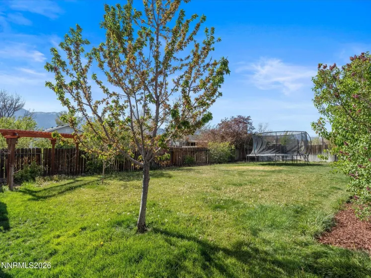 1317 Mary Jo, Gardnerville, Nevada 89460, 4 Bedrooms Bedrooms, ,2 BathroomsBathrooms,Residential,Residential,Mary Jo,0,260004882