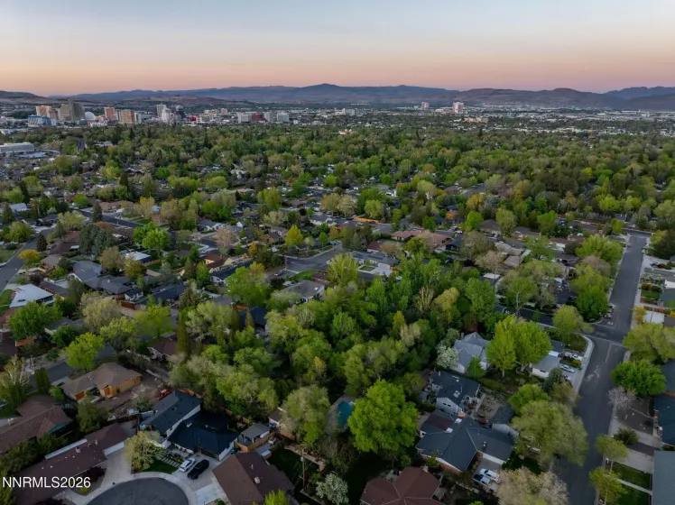 1550 Mt Rose, Reno, Nevada 89509, 1 Bedroom Bedrooms, ,1 BathroomBathrooms,Residential,Residential,Mt Rose,0,260006634