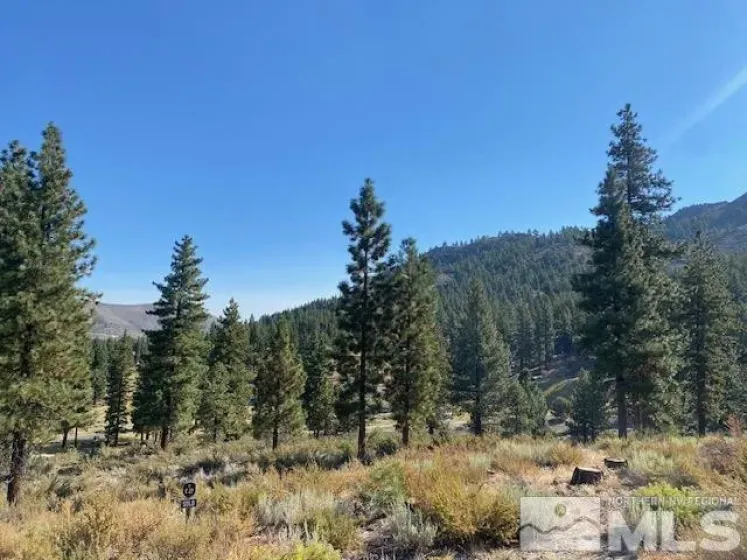 3253 Summit Camp, Carson City, Nevada 89705, ,Land,Residential,Summit Camp,0,260006848