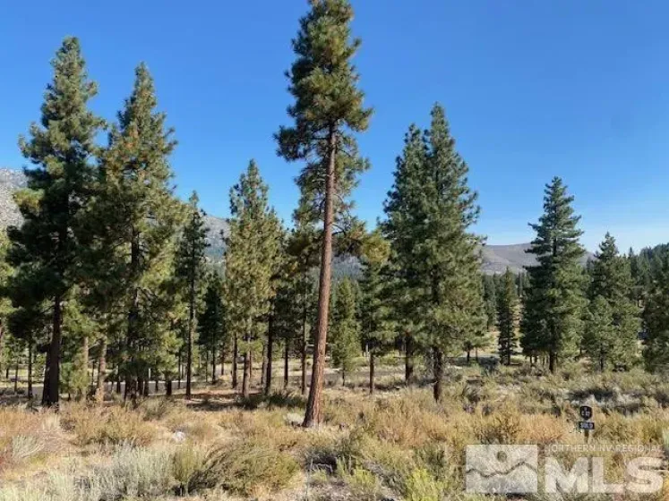 3253 Summit Camp, Carson City, Nevada 89705, ,Land,Residential,Summit Camp,0,260006848