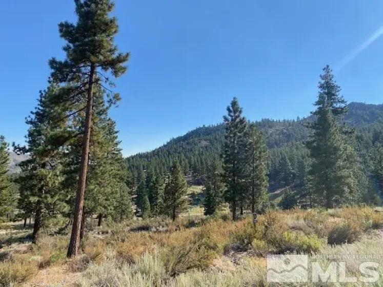 3253 Summit Camp, Carson City, Nevada 89705, ,Land,Residential,Summit Camp,0,260006848