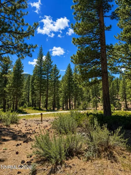 406 Rose Summit, Carson City, Nevada 89705, ,Land,Residential,Rose Summit,0,260006906