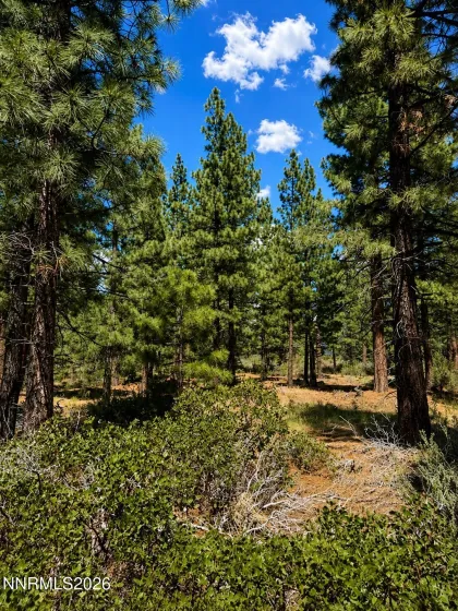 406 Rose Summit, Carson City, Nevada 89705, ,Land,Residential,Rose Summit,0,260006906