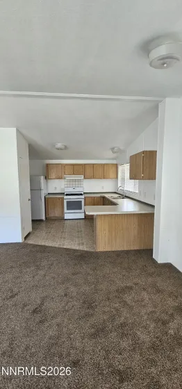 121 Del, Kingston, Nevada 89310, 2 Bedrooms Bedrooms, ,1 BathroomBathrooms,Residential,Residential,Del,0,260006980