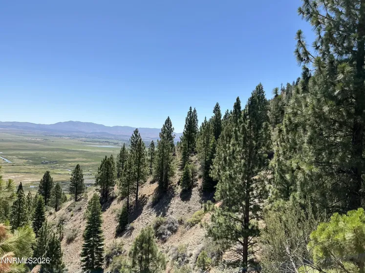 2160 Genoa Heights, Genoa, Nevada 89411, ,Land,Residential,Genoa Heights,0,260006996