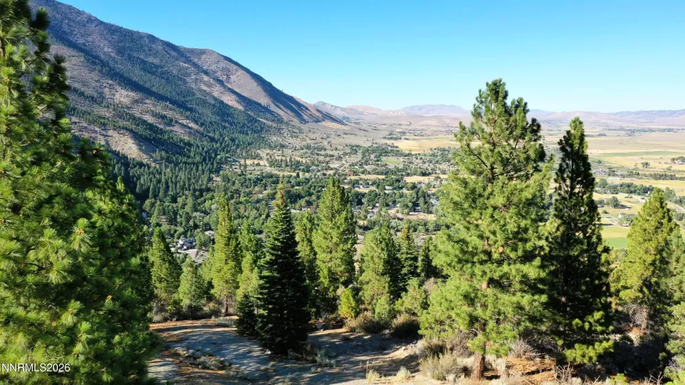 2160 Genoa Heights, Genoa, Nevada 89411, ,Land,Residential,Genoa Heights,0,260006996