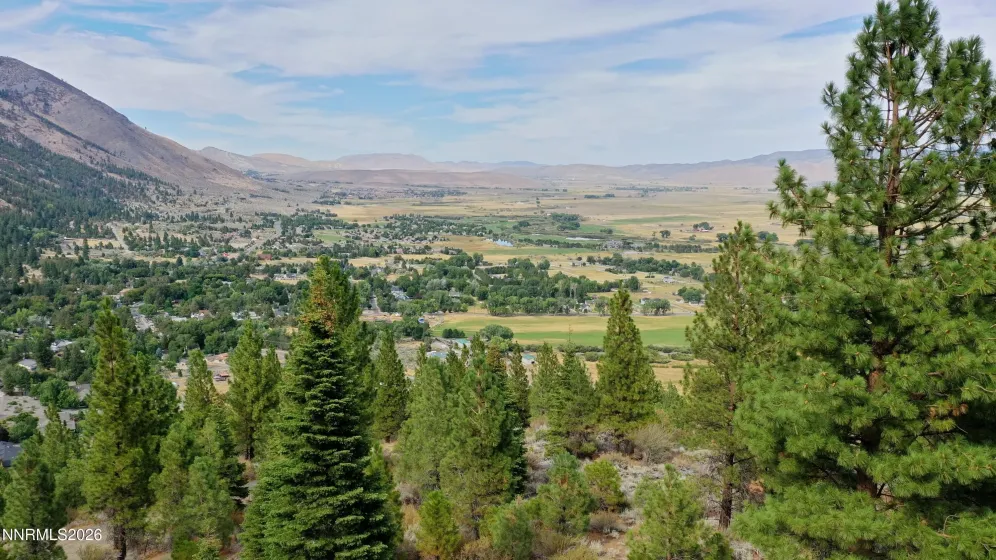 2160 Genoa Heights, Genoa, Nevada 89411, ,Land,Residential,Genoa Heights,0,260006996