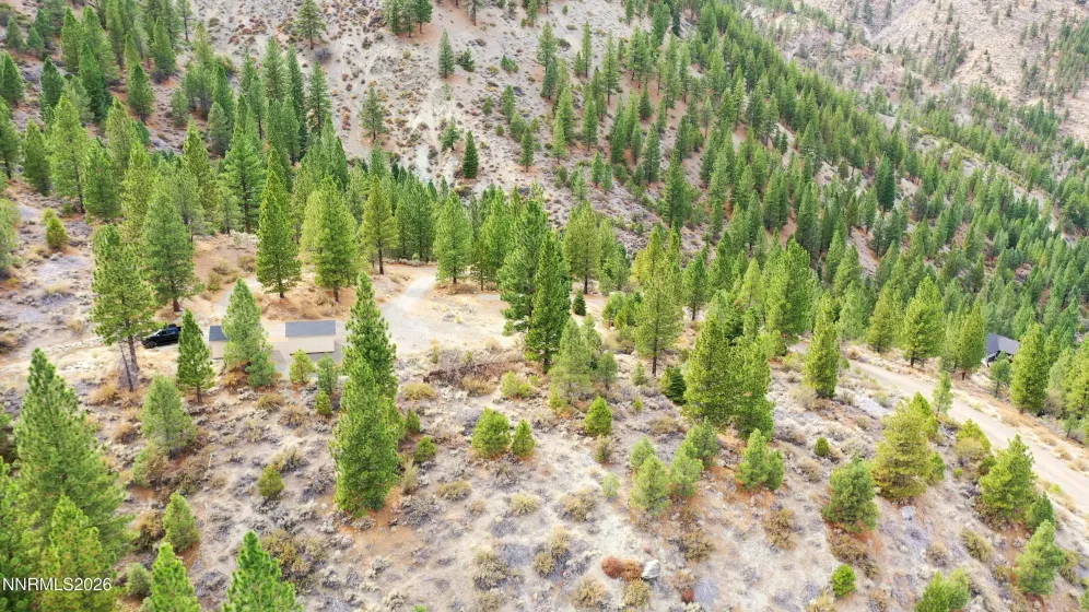 2160 Genoa Heights, Genoa, Nevada 89411, ,Land,Residential,Genoa Heights,0,260006996