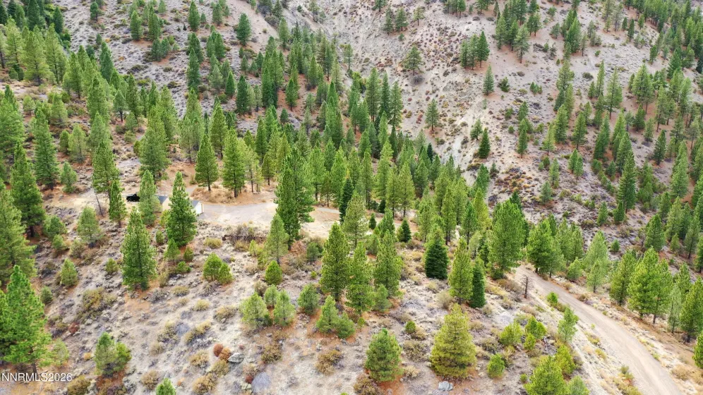 2160 Genoa Heights, Genoa, Nevada 89411, ,Land,Residential,Genoa Heights,0,260006996