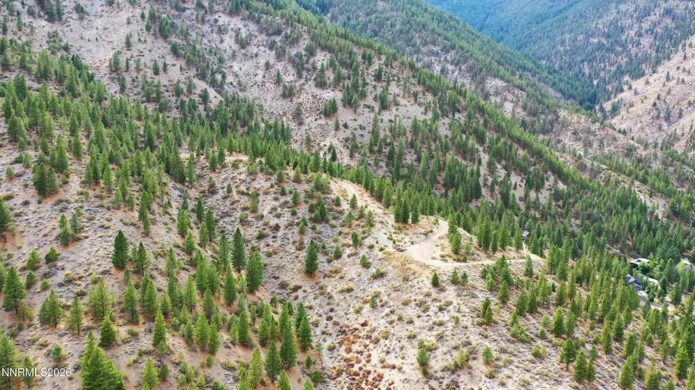 2160 Genoa Heights, Genoa, Nevada 89411, ,Land,Residential,Genoa Heights,0,260006996