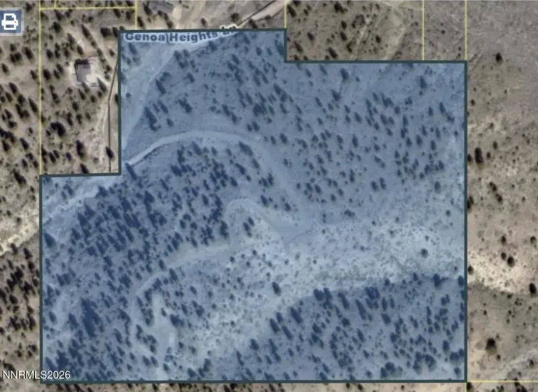 2160 Genoa Heights, Genoa, Nevada 89411, ,Land,Residential,Genoa Heights,0,260006996