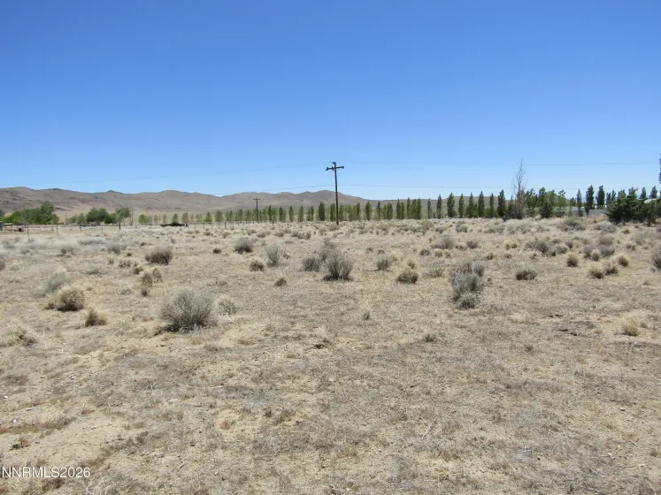 603 Pete Hendrichs, Yerington, Nevada 89447, ,Land,Residential,Pete Hendrichs,0,260007002