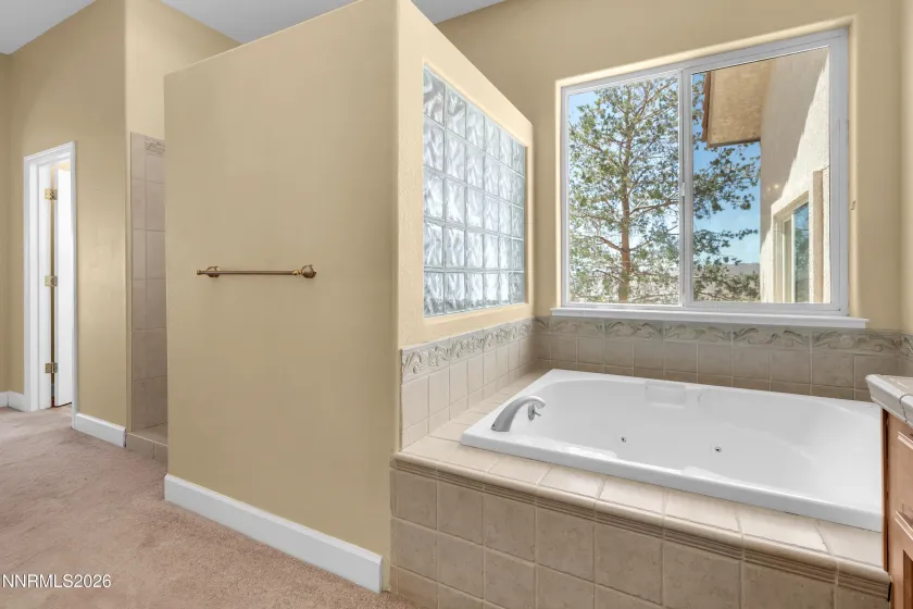 1255 Calle De La Plata, Sparks, Nevada 89441, 4 Bedrooms Bedrooms, ,4 BathroomsBathrooms,Residential,Residential,Calle De La Plata,0,260007009