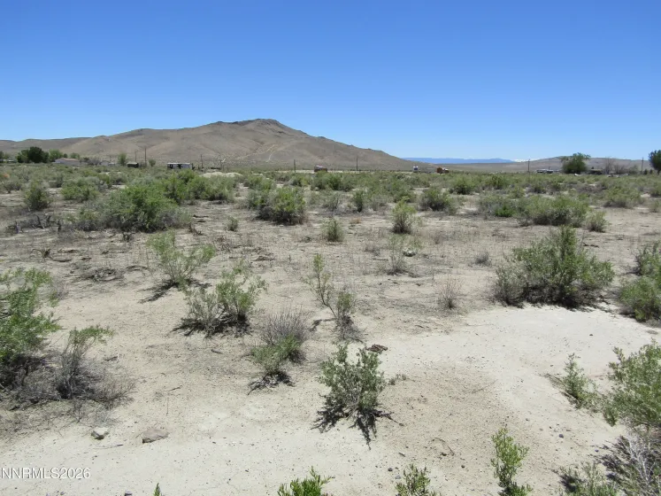 217 Highway 95A, Yerington, Nevada 89447, ,Land,Residential,Highway 95A,0,260007025