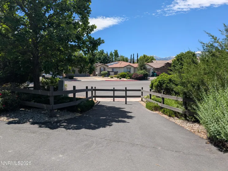 View from path towards house (is behind tree on left)