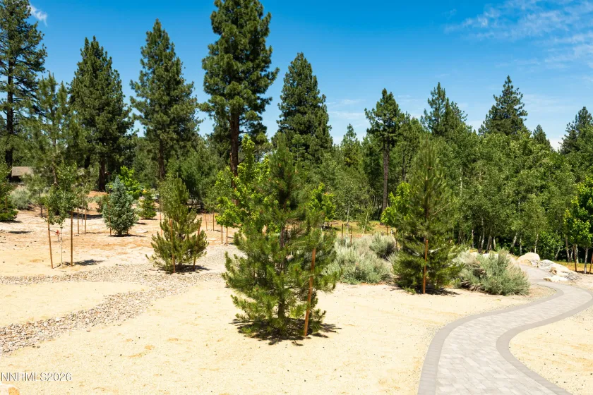 256 Forest Hill, Gardnerville, Nevada 89460, 4 Bedrooms Bedrooms, ,4 BathroomsBathrooms,Residential,Residential,Forest Hill,0,260007072
