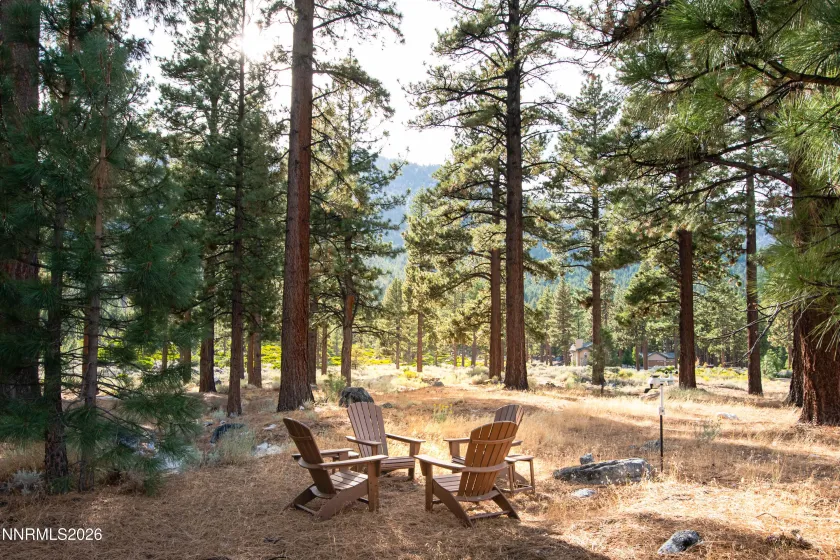 271 Forest Hill, Gardnerville, Nevada 89460, 3 Bedrooms Bedrooms, ,4 BathroomsBathrooms,Residential,Residential,Forest Hill,0,260007080
