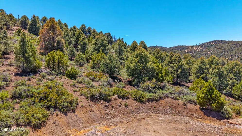 21905 Panhandle, Reno, Nevada 89521, ,Land,Residential,Panhandle,0,260007101