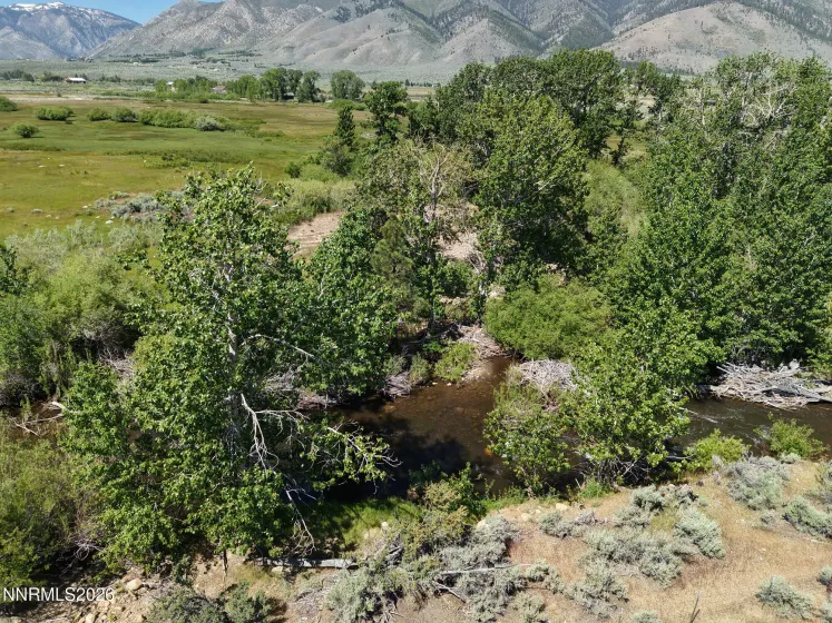 060 River Ranch, Markleeville, California 96120, ,Land,Residential,River Ranch,0,260007138