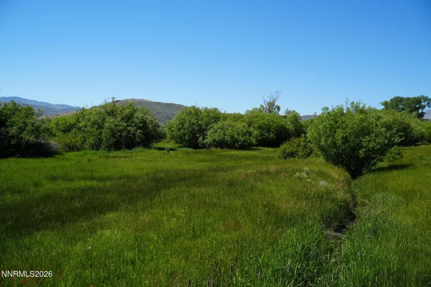 060 River Ranch, Markleeville, California 96120, ,Land,Residential,River Ranch,0,260007138