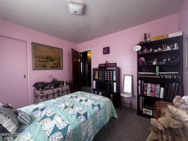 441 Venturacci, Fallon, Nevada 89406, 3 Bedrooms Bedrooms, ,2 BathroomsBathrooms,Residential,Residential,Venturacci,0,260007253