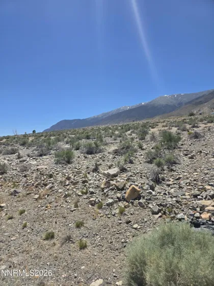 110 Shores, Walker Lake, Nevada 89415, ,Land,Residential,Shores,0,260007267