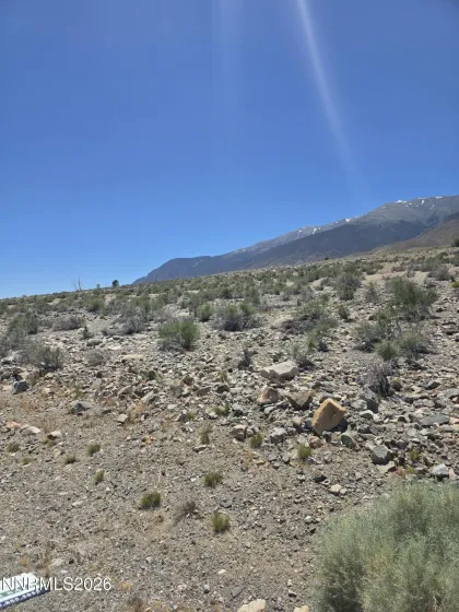 110 Shores, Walker Lake, Nevada 89415, ,Land,Residential,Shores,0,260007267