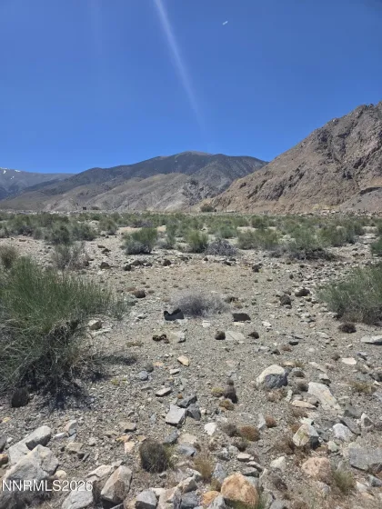 110 Shores, Walker Lake, Nevada 89415, ,Land,Residential,Shores,0,260007267