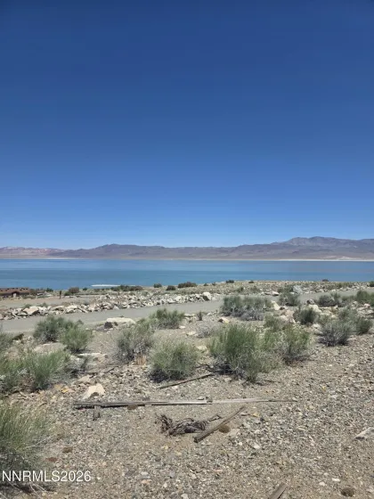 110 Shores, Walker Lake, Nevada 89415, ,Land,Residential,Shores,0,260007267