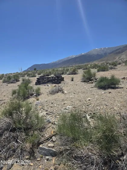 110 Shores, Walker Lake, Nevada 89415, ,Land,Residential,Shores,0,260007267