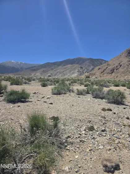 110 Shores, Walker Lake, Nevada 89415, ,Land,Residential,Shores,0,260007267