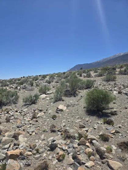 110 Shores, Walker Lake, Nevada 89415, ,Land,Residential,Shores,0,260007267