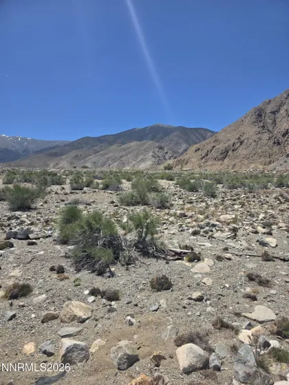 110 Shores, Walker Lake, Nevada 89415, ,Land,Residential,Shores,0,260007267
