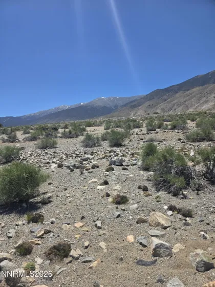 110 Shores, Walker Lake, Nevada 89415, ,Land,Residential,Shores,0,260007267
