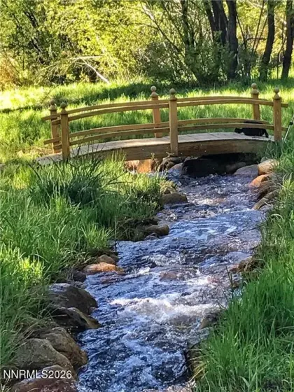 Compex Forest and Creek Area with Walking Trail