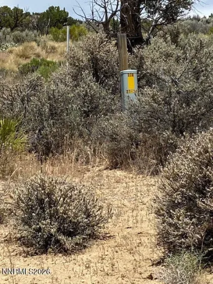 SW corner marker (Approx.)