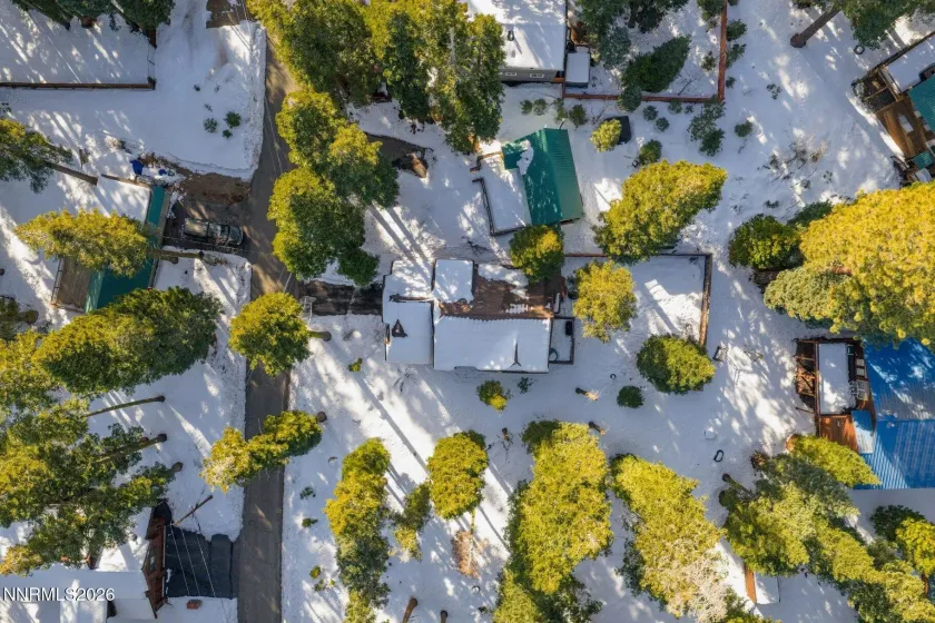 Bird's-eye view showcasing the home's footprint, lot configuration, and adjacent to forest service lot.