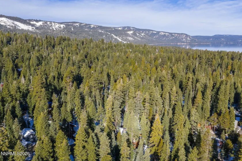 Aerial view highlighting the property's peaceful forest setting on the West Shore