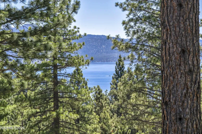Lake View from Deck