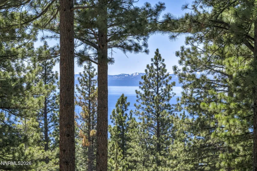 Lake View from Deck