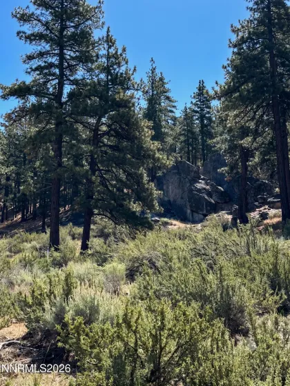 Spectacular Rock Outcroppings