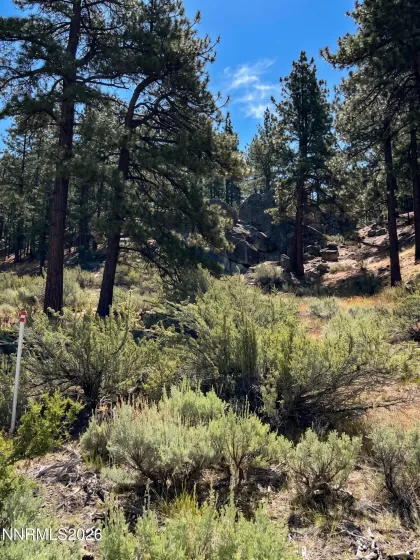 570 Headwaters, Carson City, Nevada 89705, ,Land,Residential,Headwaters,0,260007356