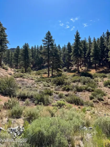 570 Headwaters, Carson City, Nevada 89705, ,Land,Residential,Headwaters,0,260007356