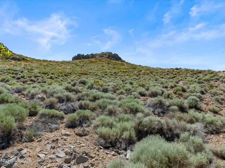 4317 Leeward, Reno, Nevada 89502, 2 Bedrooms Bedrooms, ,3 BathroomsBathrooms,Residential,Residential,Leeward,0,260007364